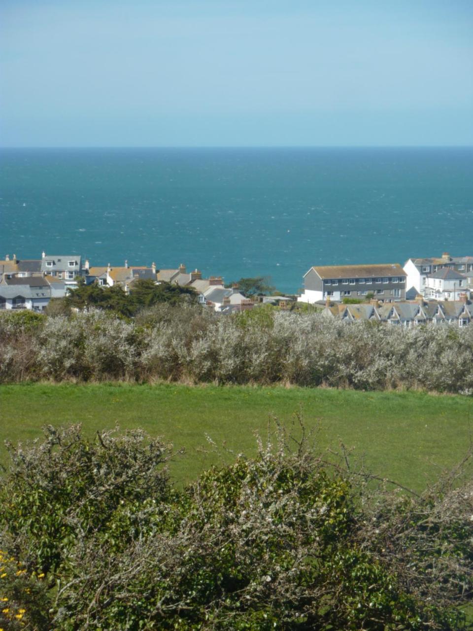 St IvesSea Breeze住宿加早餐旅馆 外观 照片