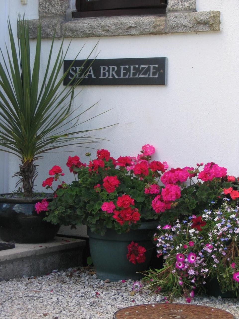 St IvesSea Breeze住宿加早餐旅馆 外观 照片